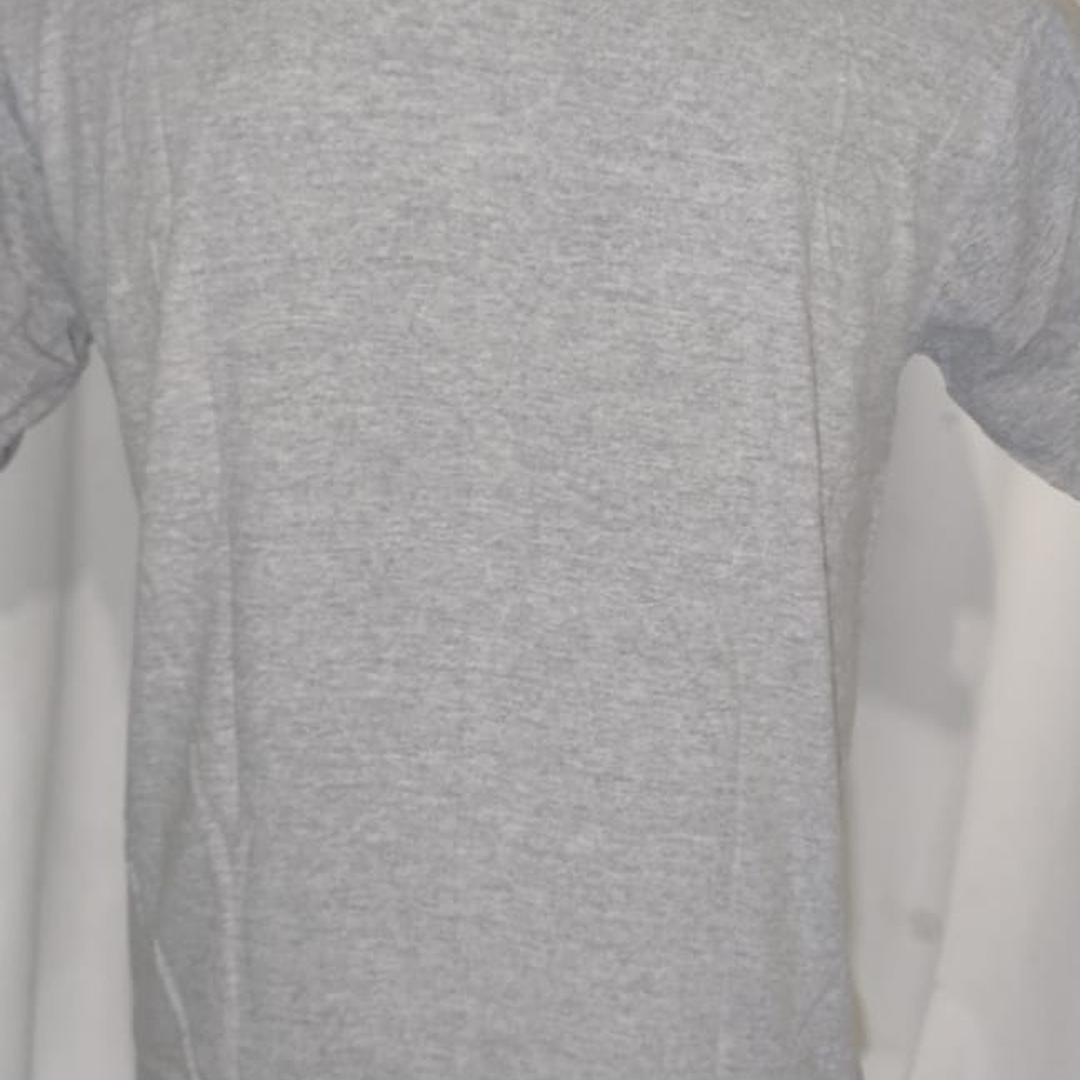 Camiseta Leão da Tribo de Judá Cinza | Gola Redonda | Tam. P